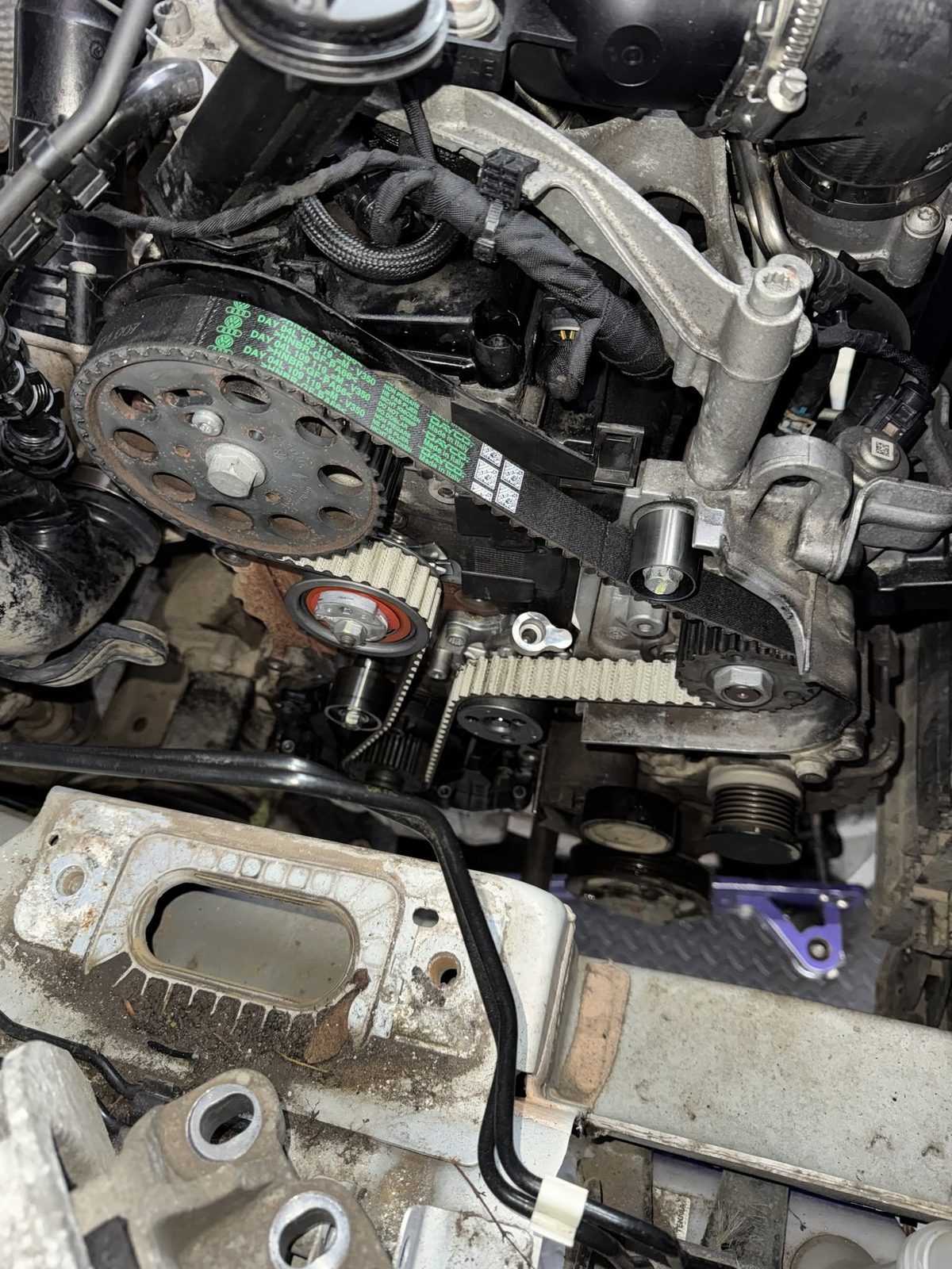 Dayco timing belt fitted on the engine during a cambelt service